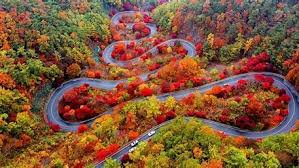 충청도 가을 단풍 명소