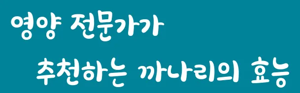 영양 전문가가 추천하는 까나리의 효능