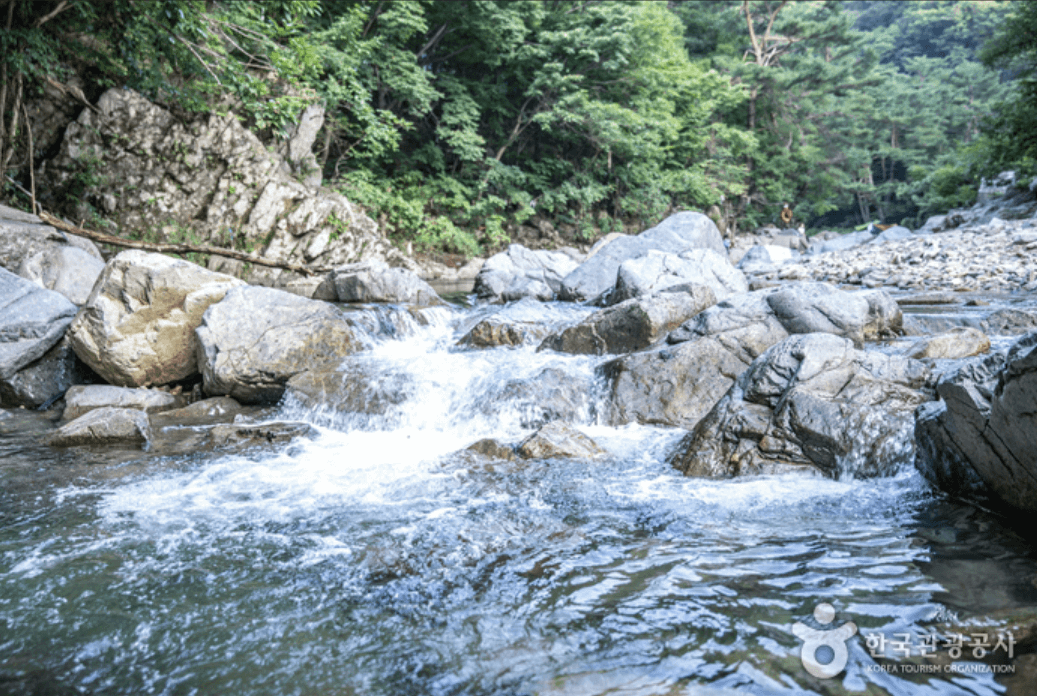포항시 하옥계곡