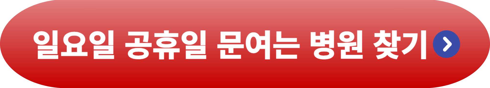 일요일 병원 찾기