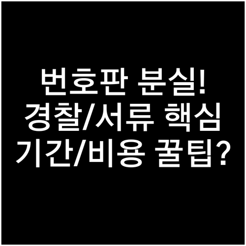 차량 번호판 재발급: 경찰 신고부터 ..
