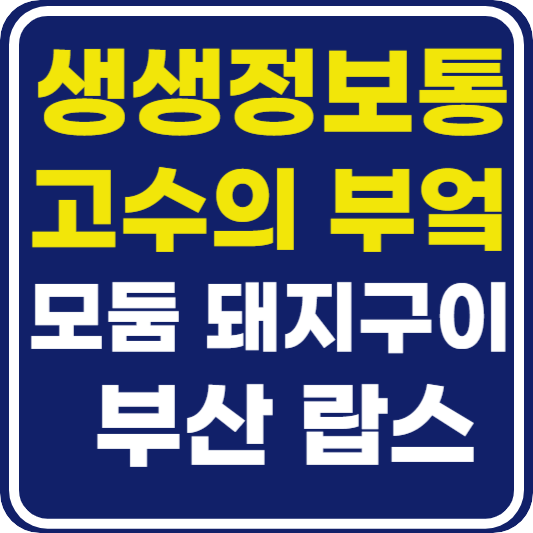 생생 정보통 맛집오늘방송 부산 모둠 돼지구이 (고수의 부엌)