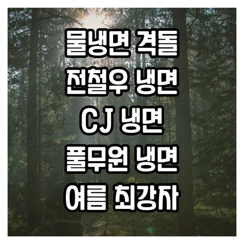 여름철 인기 물냉면 3종 비교 전철우..