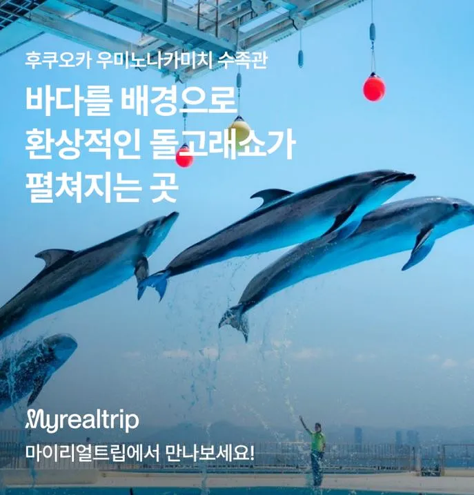 후쿠오카-마린월드-우미노나카미치-수족관-돌고래쇼-안내-사진