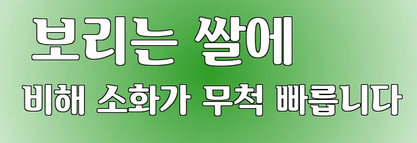  보리는 쌀에 비해 소화가 무척 빠릅니다