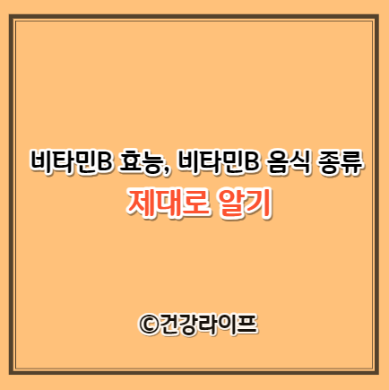 비타민B 효능&#44; 비타민B 음식
