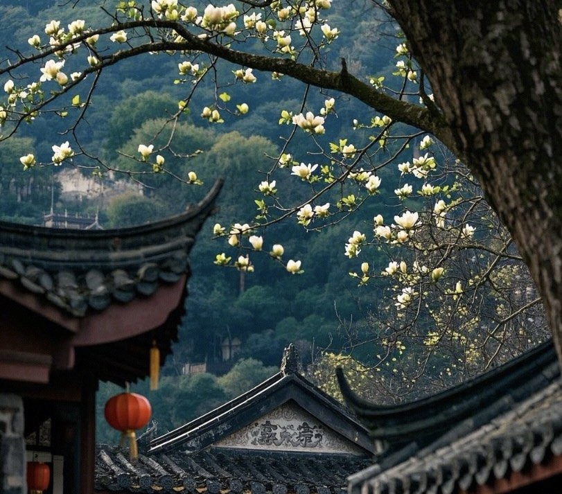 중국 총칭 관련사진