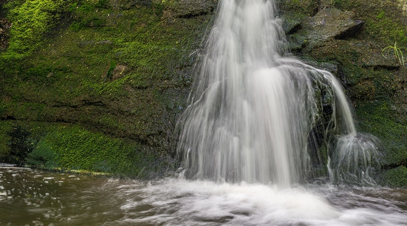 배선 정리의 필요성