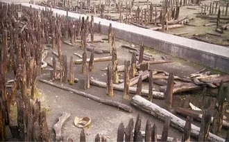 19사략유소씨 복희씨 신농씨와 문명 시작 이야기_4