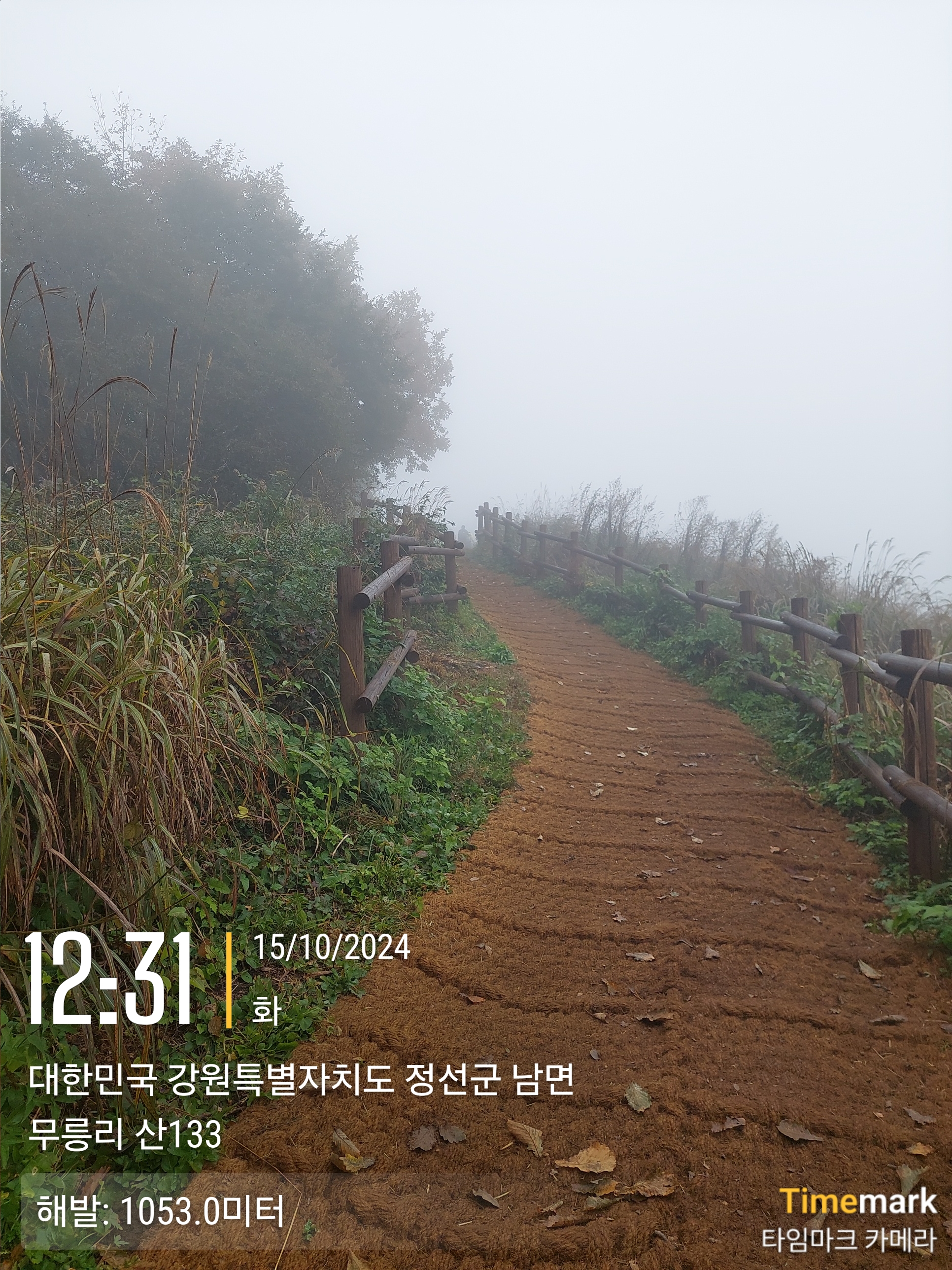 민둥산