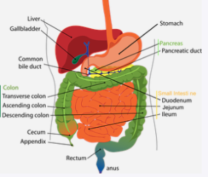 대장암 초기증상