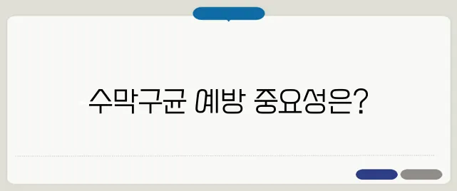수막구균 예방접종 필요성 및 접종 시기