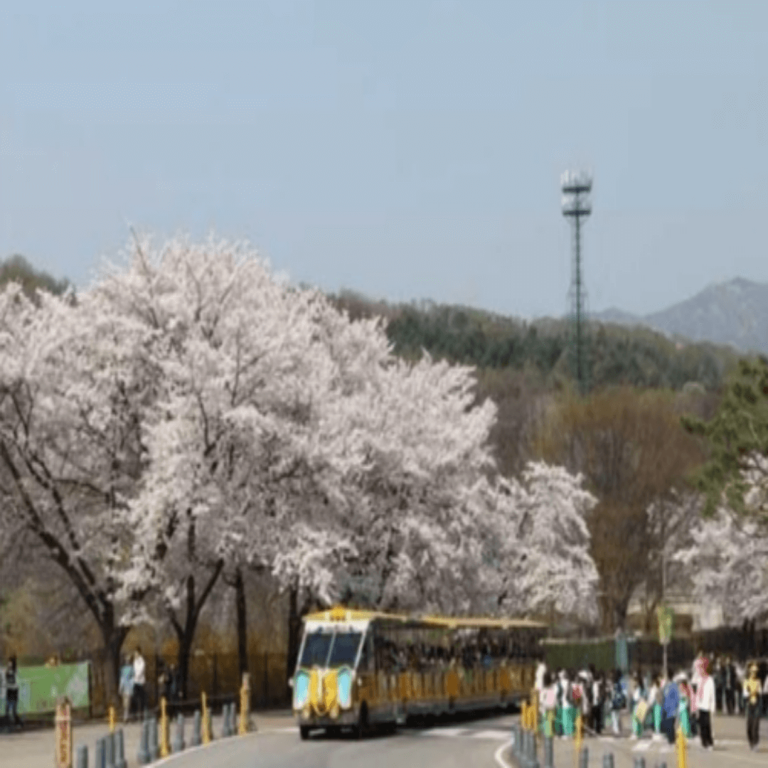 50대 여자친구들과 가기 좋은 국내 힐링 여행지
