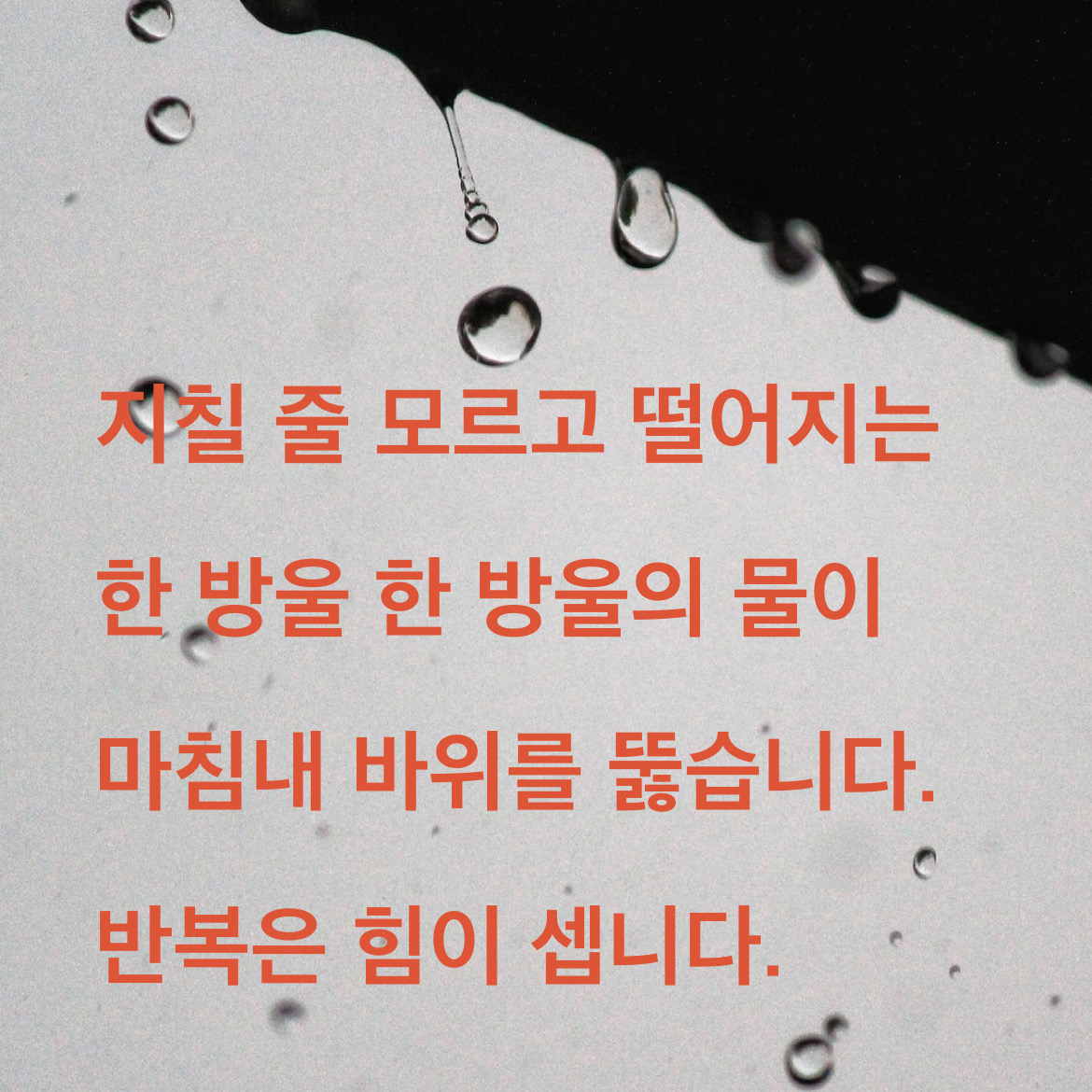 반복의 힘을 보여준 백곡 김득신