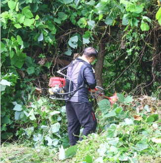 명절 벌초 방법