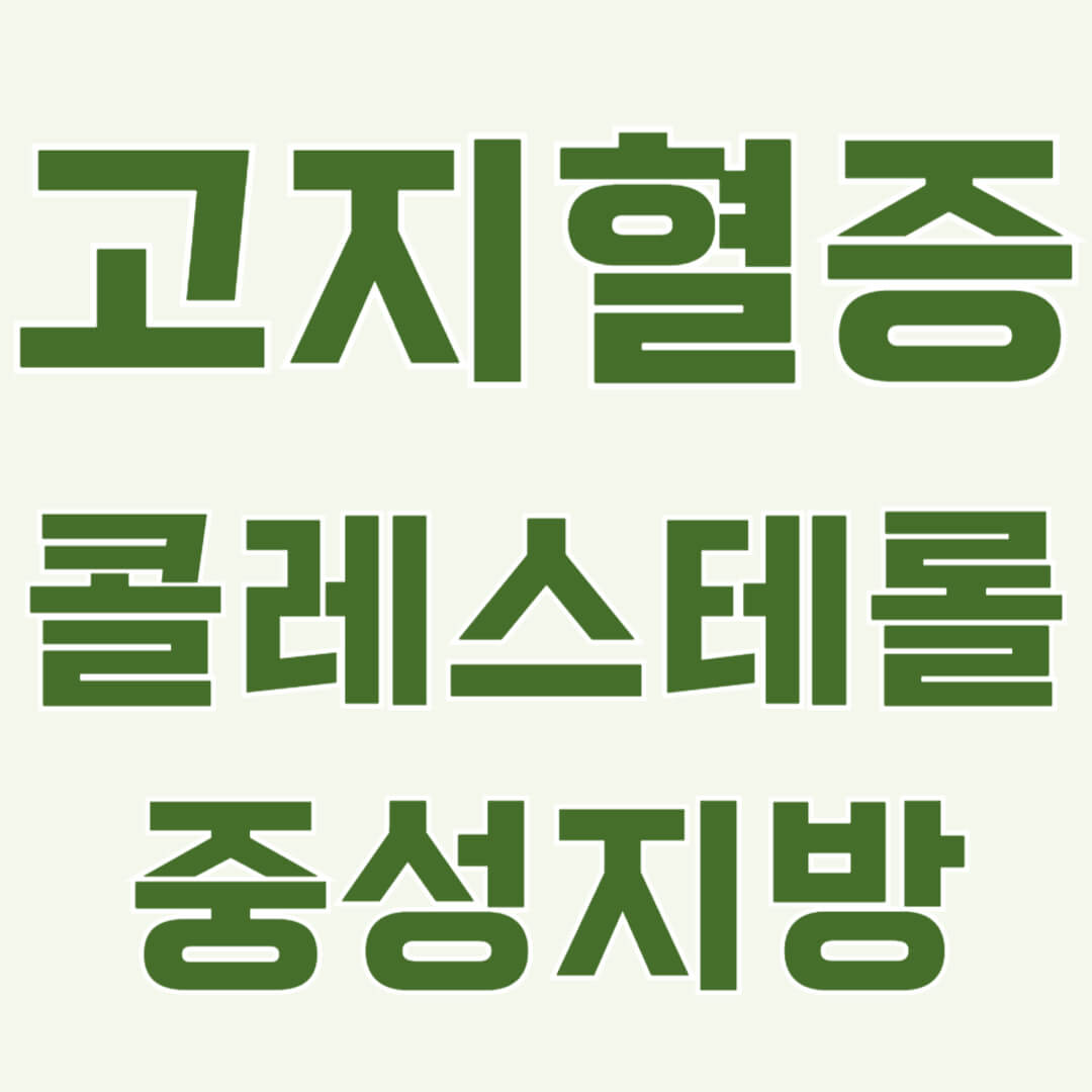 40대 이후 건강을 지키는 법, 고지혈증 증상과 원인부터 예방법까지! 생활 습관 개선으로 콜레스테롤을 관리하고 건강한 삶을 만들어보세요.
