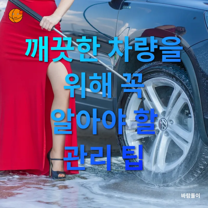 자동차 청소 및 관리_3