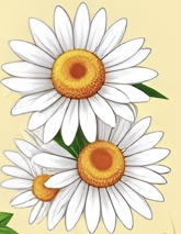 꿀차의효능