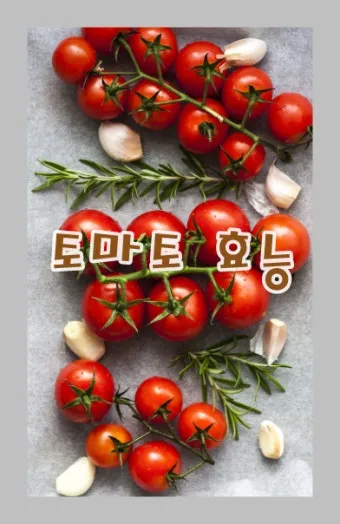 토마토 효능 항산화 작용과 피부건강 효과 정리_11