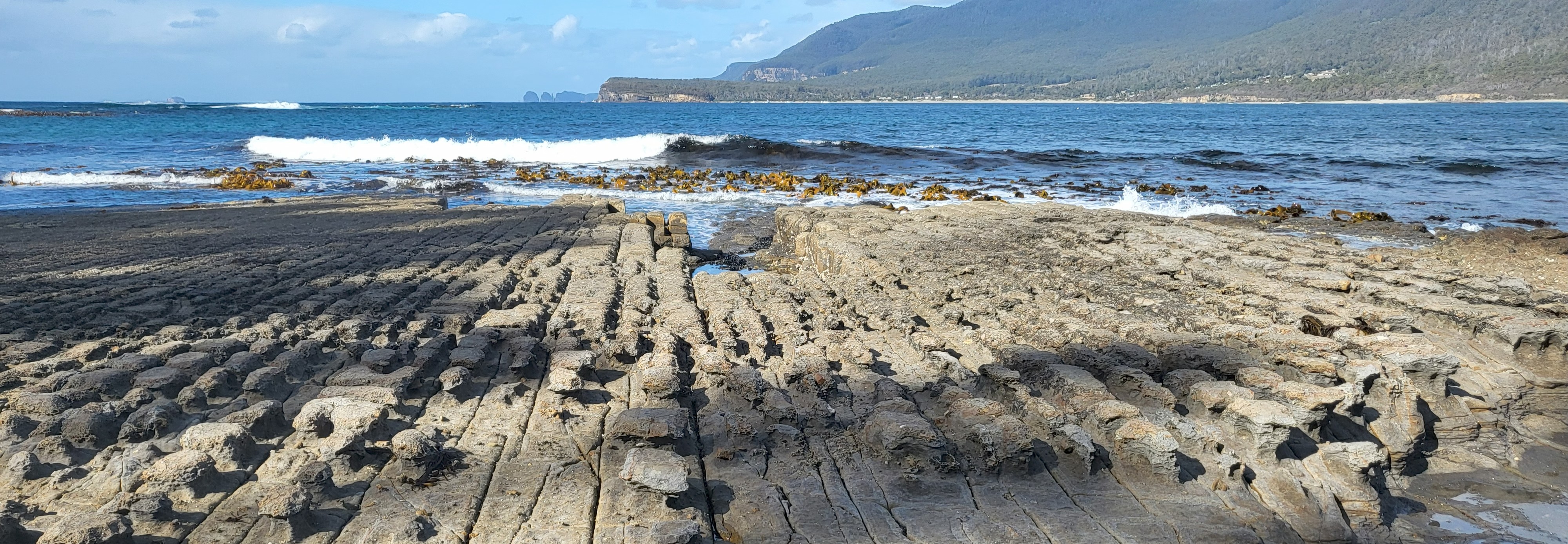 테설레이티드 페이브먼트 (Tessellated Pavement)