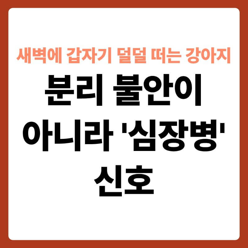 어두운 방 안에서 눈을 크게 뜨고 숨을 헐떡이며 앉아 있는 노령견 요크셔테리어의 모습. 강아지의 가슴 부위에 작게 반짝이는 파란색 심장 박동선 그래프와 번개 모양의 불안 실루엣이 그래픽으로 가미되어 신체적 이상으로 인한 공포를 표현한 이미지