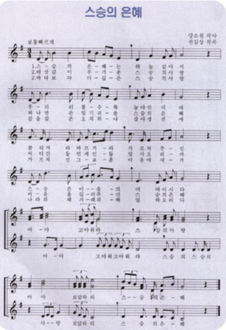 잊지 못할 스승님, 다시 만나는 감동: 교육청 선생님 찾기 A to Z (2025 최신 정보)