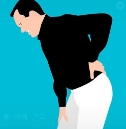 척추 디스크