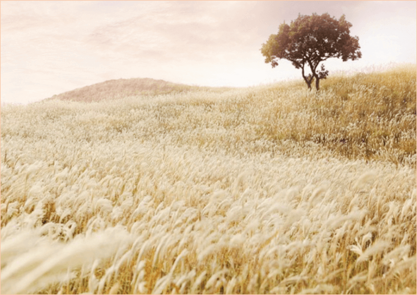 황매산-억새축제