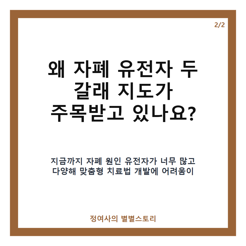 자폐 유전자 두 갈래 지도, 1200개 원인 유전자 분자 상태로 나뉘어 맞춤 치료 기대 카드뉴스 3