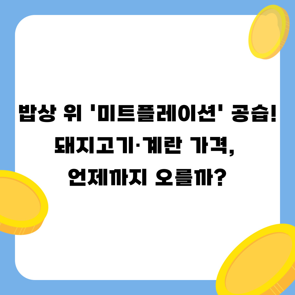 밥상 위 '미트플레이션' 공습! 돼지고기·계란 가격, 언제까지 오를까?
