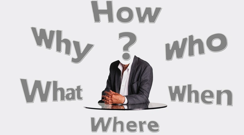 신고 후 결과 확인