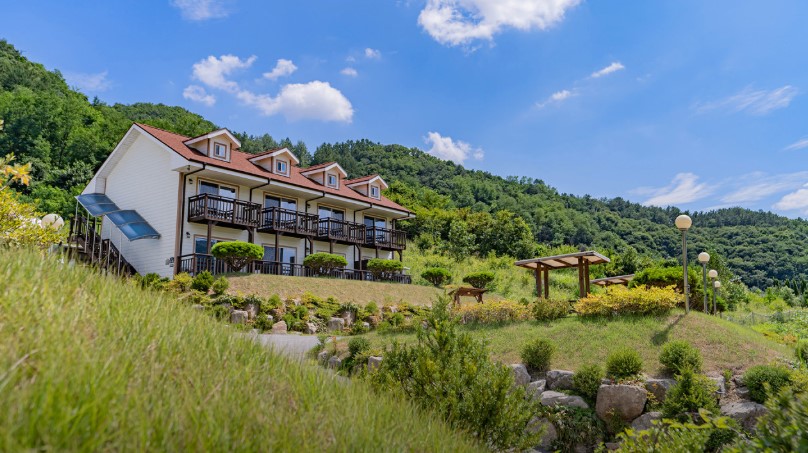 1.화천산천어
