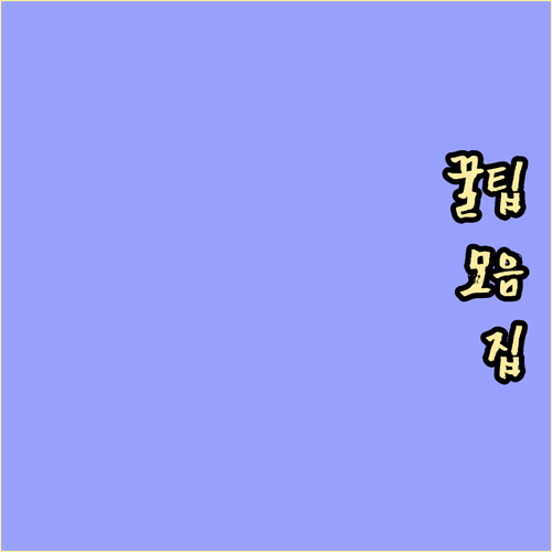 과태료 없는 내삼미동 쓰레기 버리기:..