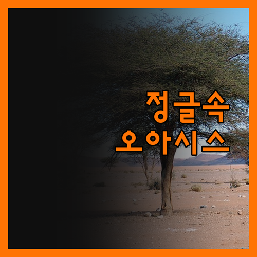 정글 속 오아시스, 울루울루 리조트의