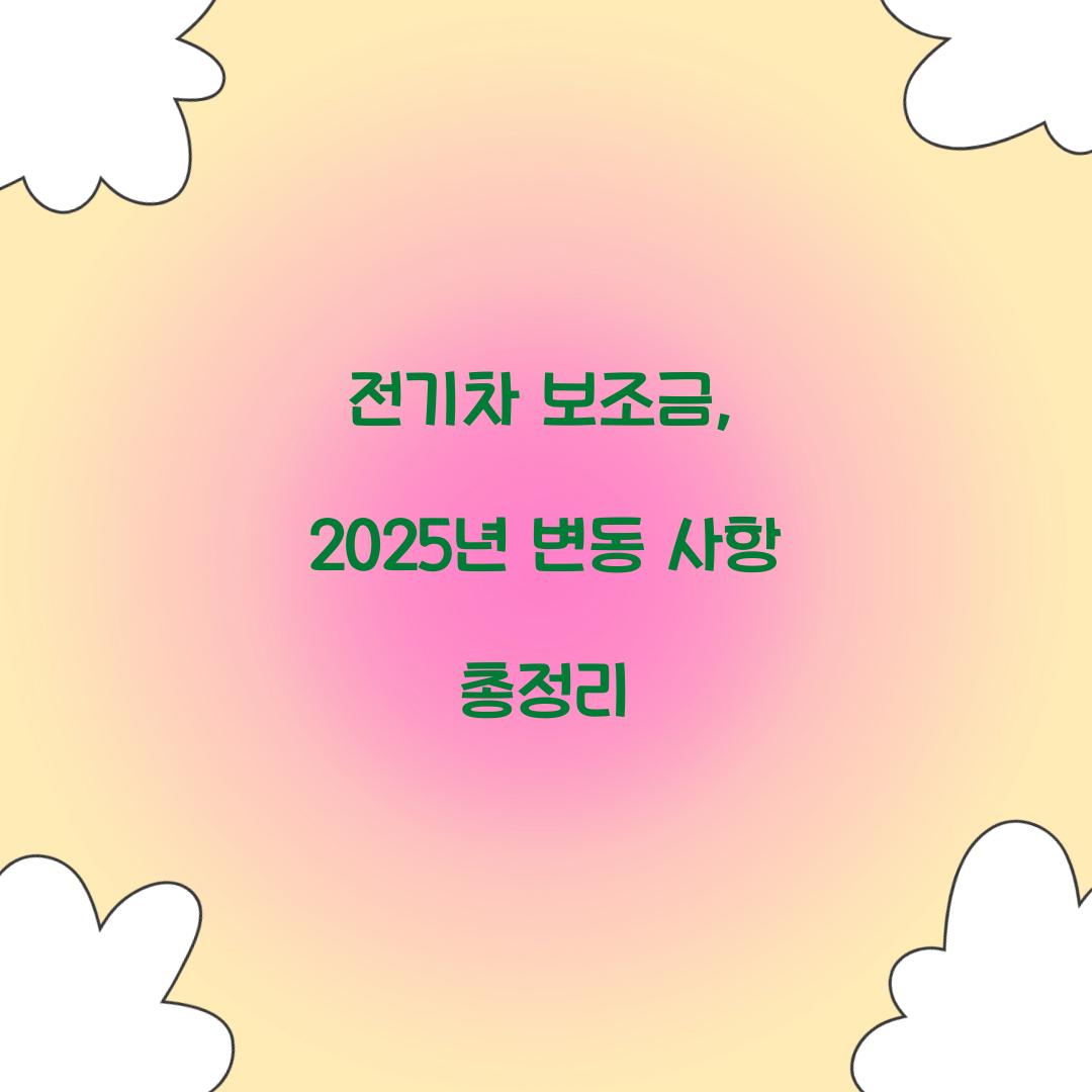 전기차 보조금