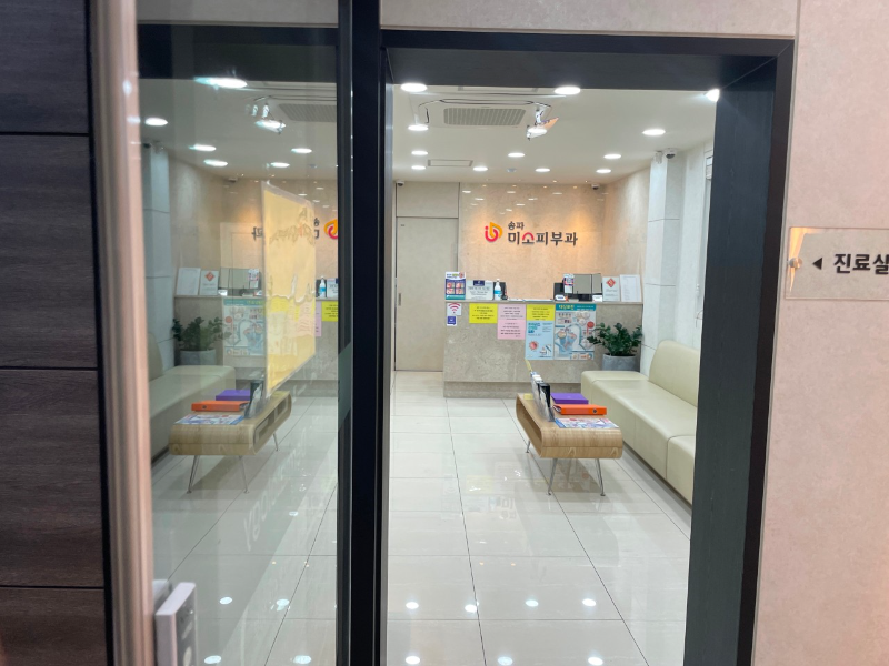 송파구 송파1동 피부과 유명한 곳 모공 레이저 잘하는 곳 추천 TOP 5