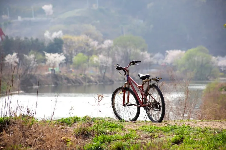 여행중-자전거-모습