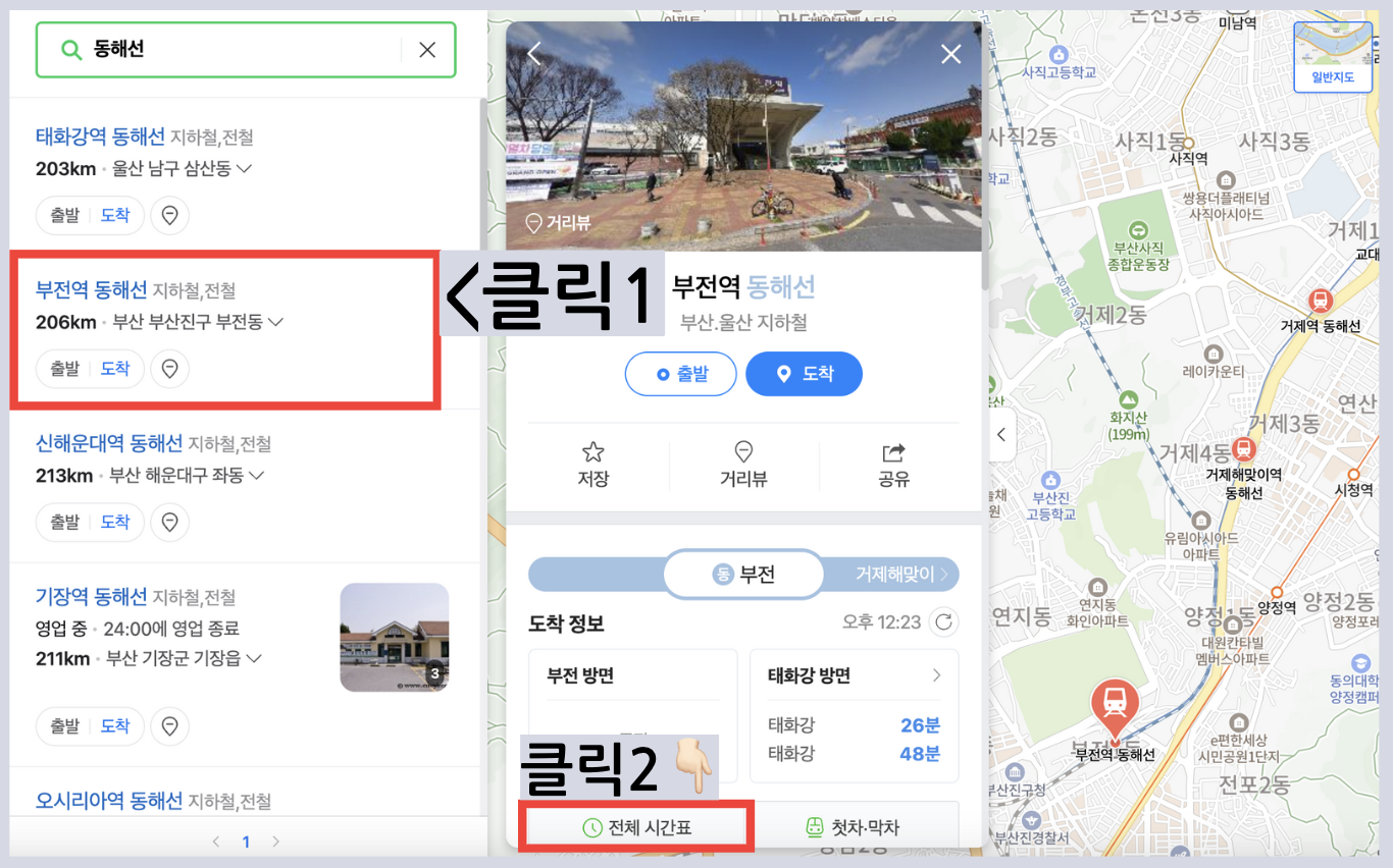 동해선시간표 노선 요금 (2025 최신) 동해선 시간표
