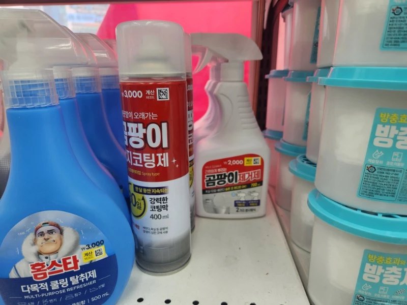 벽지 곰팡이 제거 후기