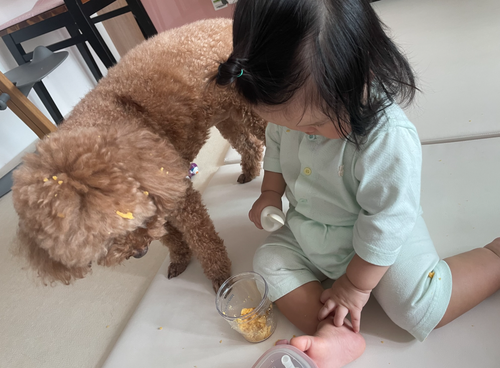 아기와 강아지가 함께하는 촉감놀이 시간 ㅋㅋ