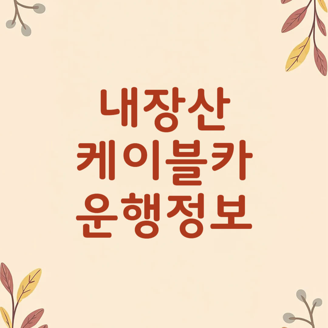 내장산 케이블카 요금 및 예약방법