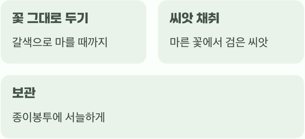 내년을 기약하는 똑똑한 씨앗 받기