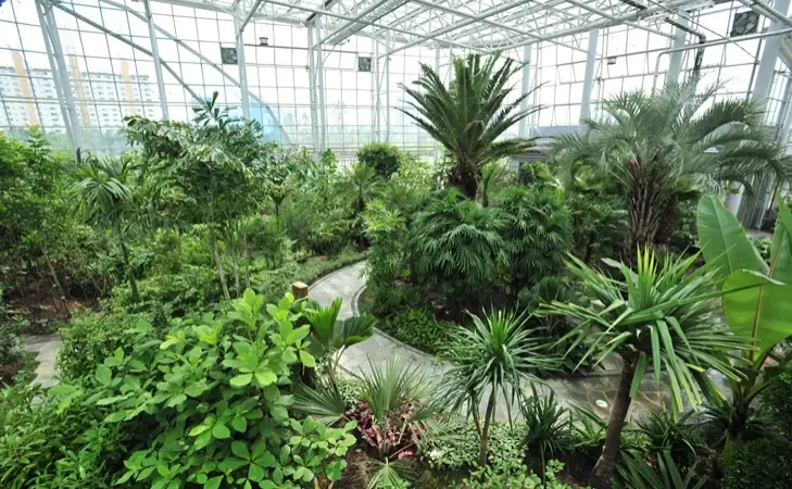 대전-한밭수목원-입장료-주차-요금-관람시간