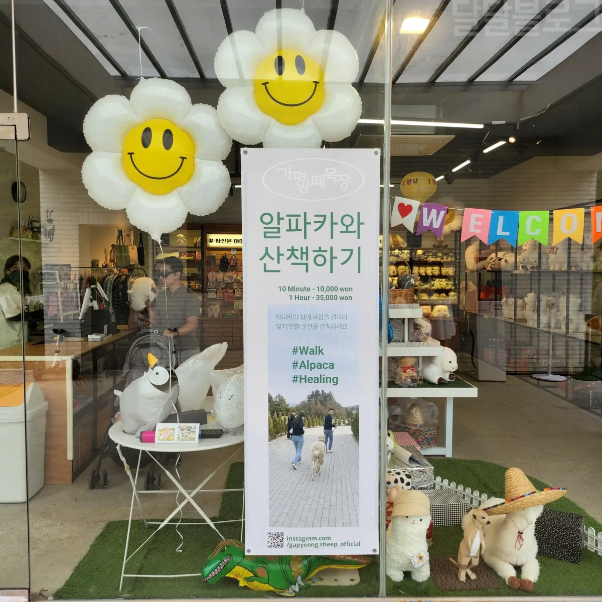 가평-양떼목장-샵