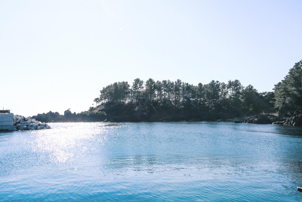 대포포구(제주관광공사 홈페이지에서)