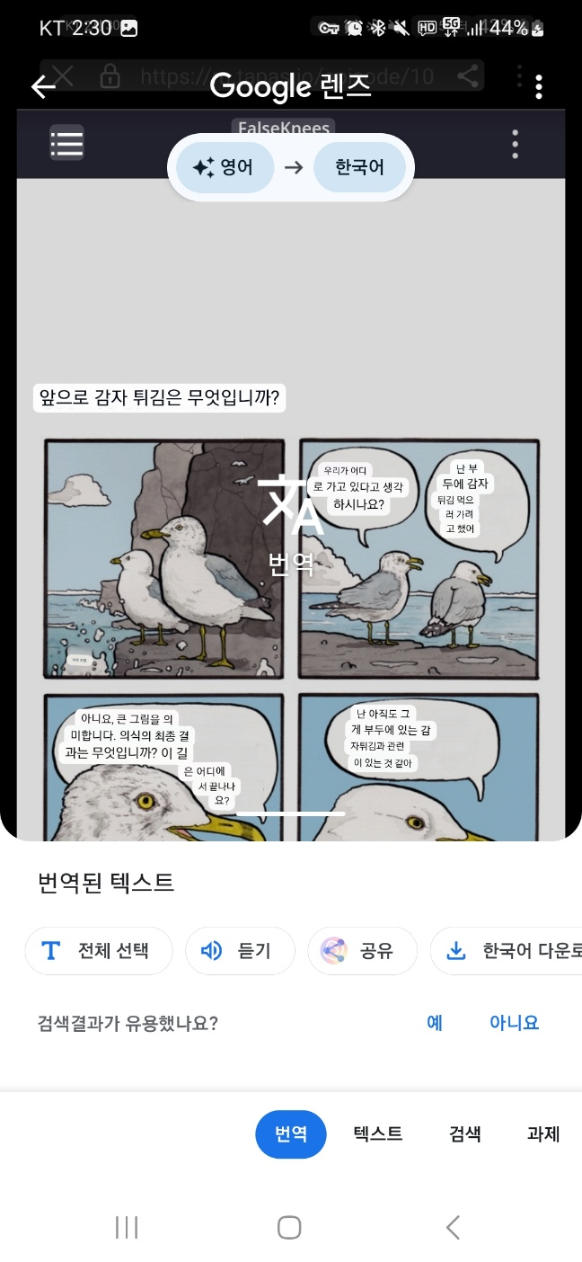 구글 이미지 검색 10