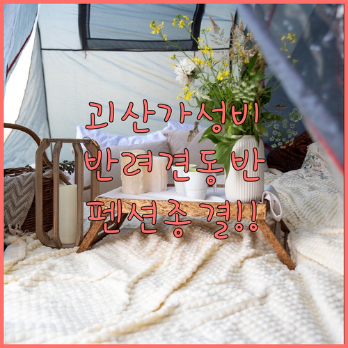 괴산 가성비 숙소와 반려동물 동반 펜..