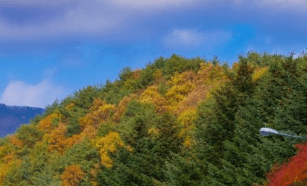 단풍여행 1박2일 버스여행 단풍구경