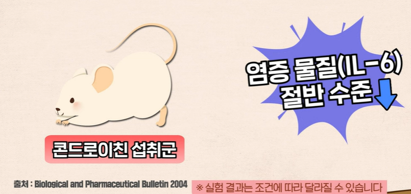콘드로이친 효능