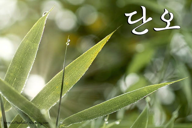 단오